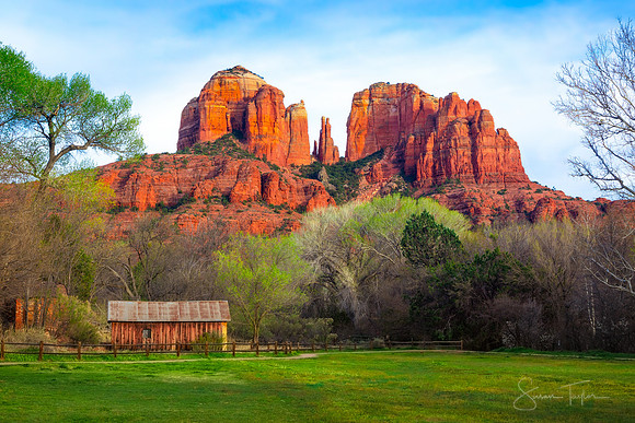 Springtime in Sedona