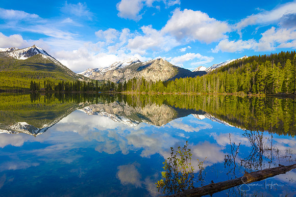 Idaho Wilderness, Pettit Lake