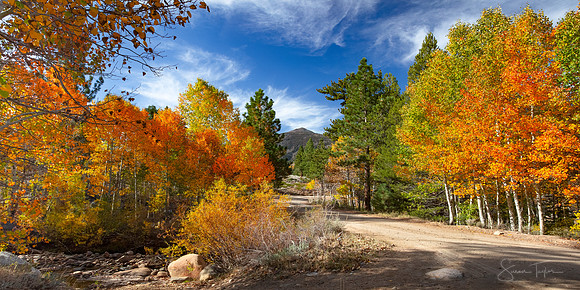 Autumn Backroads, Eastern Sierra Nevada