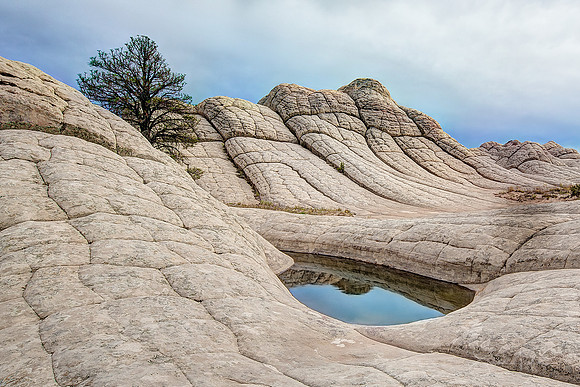 White Pocket Pool