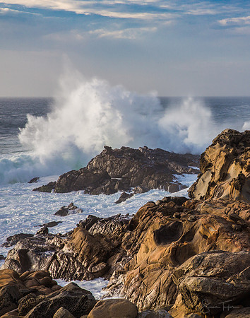 Salt Point Morning