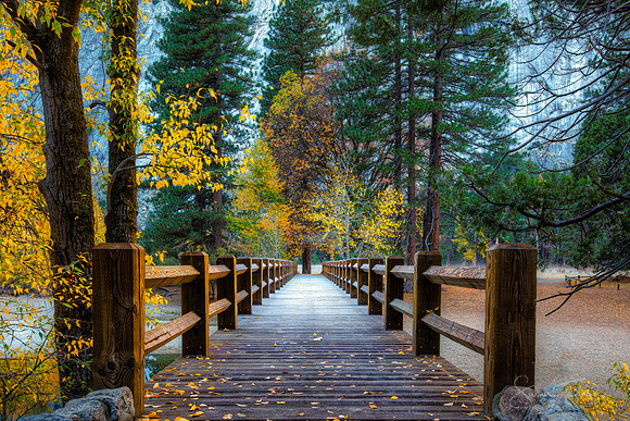 The Swinging Bridge