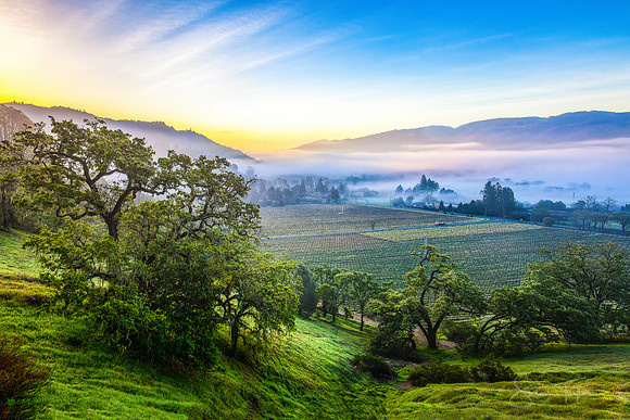 First Light Over Misty Napa Valley