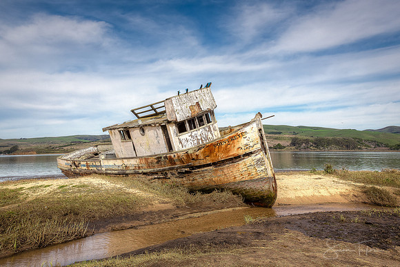 Shipwrecked At Point Reyes