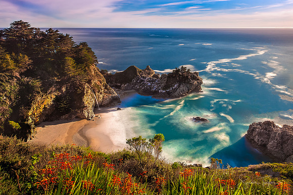McWay Cove Spring Bloom, Big Sur