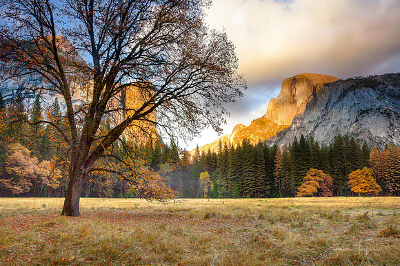 Autumn Splendor, Yosemite National Park