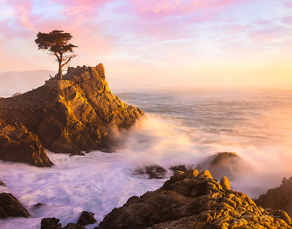 Lone Cypress Sunset, Pebble Beach