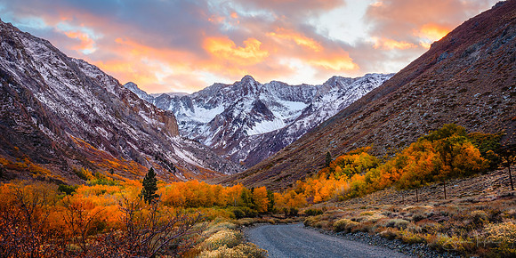 Eastern Sierra Autumn Dream