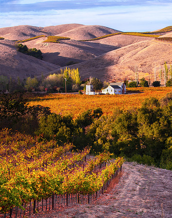 A Peaceful Napa Valley Fall Evening