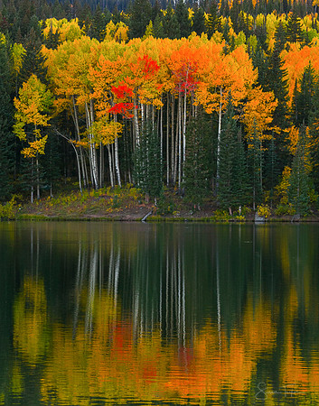 Colorado Autumn Reflection